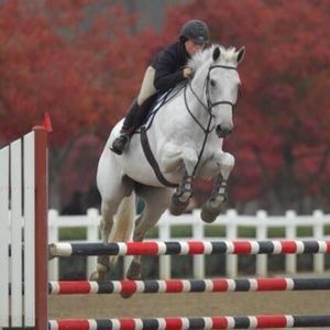 Meet your Posher, Zoe